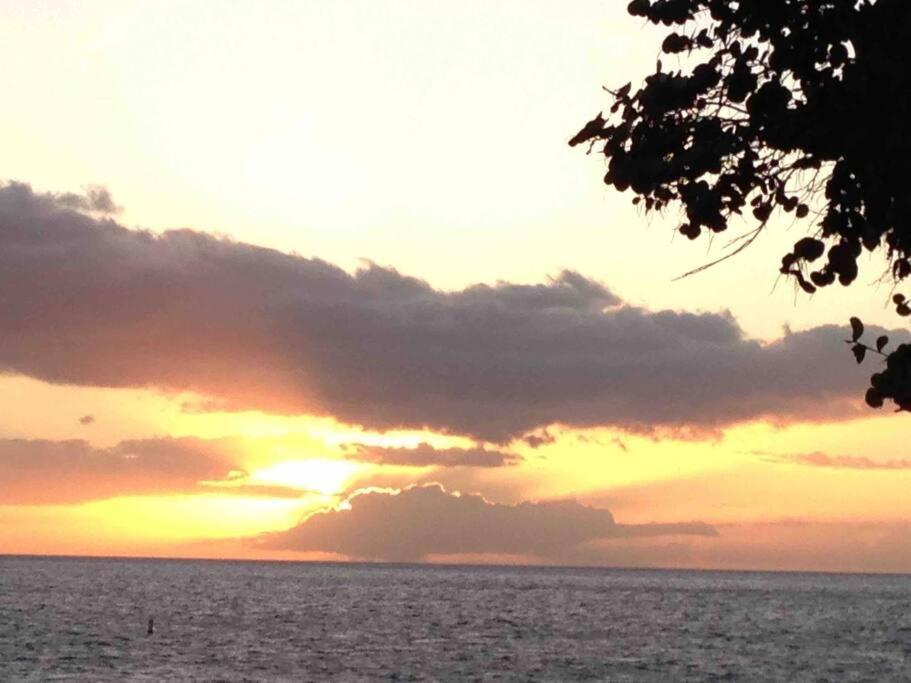 Unrivaled S Kihei Maui Location! Walk To It All! מראה חיצוני תמונה